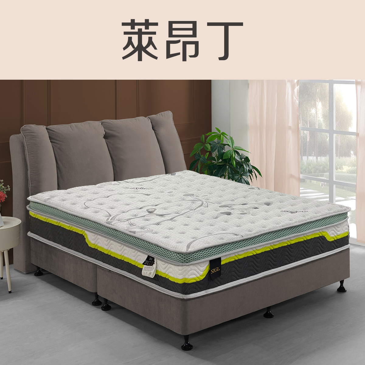 萊昂丁-石墨烯<br>軟○○○○●○○硬