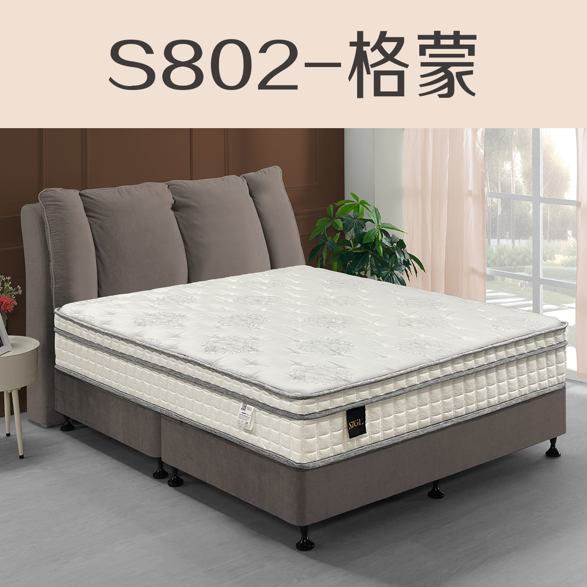 S802-格蒙<br>軟○○○○○○●硬