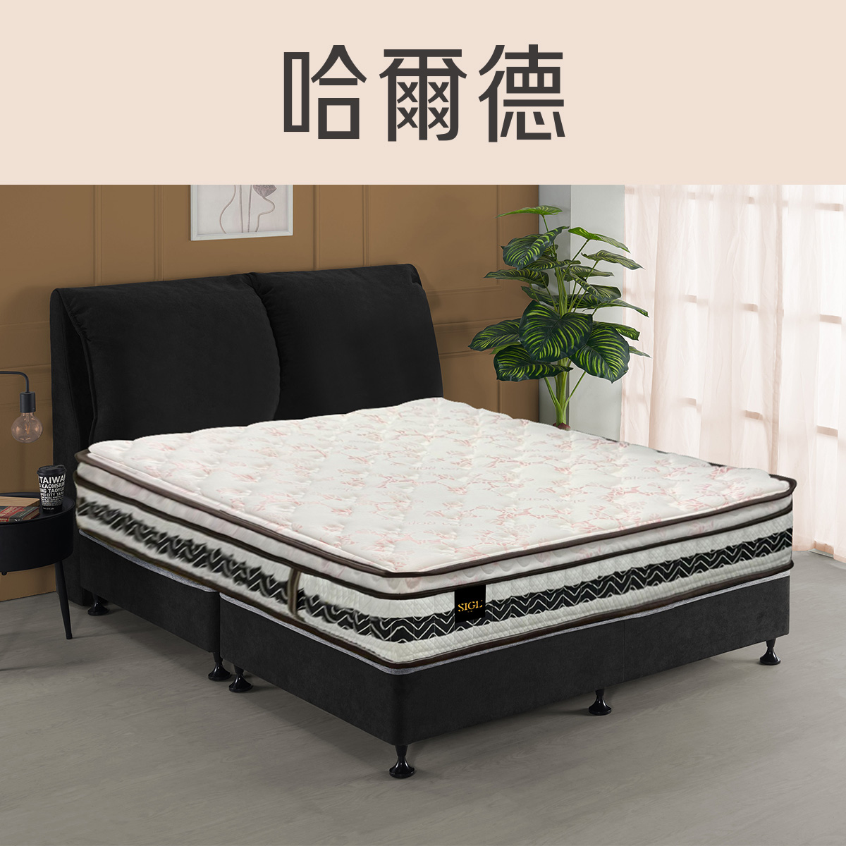 哈德爾<br>軟○○○○●○○硬