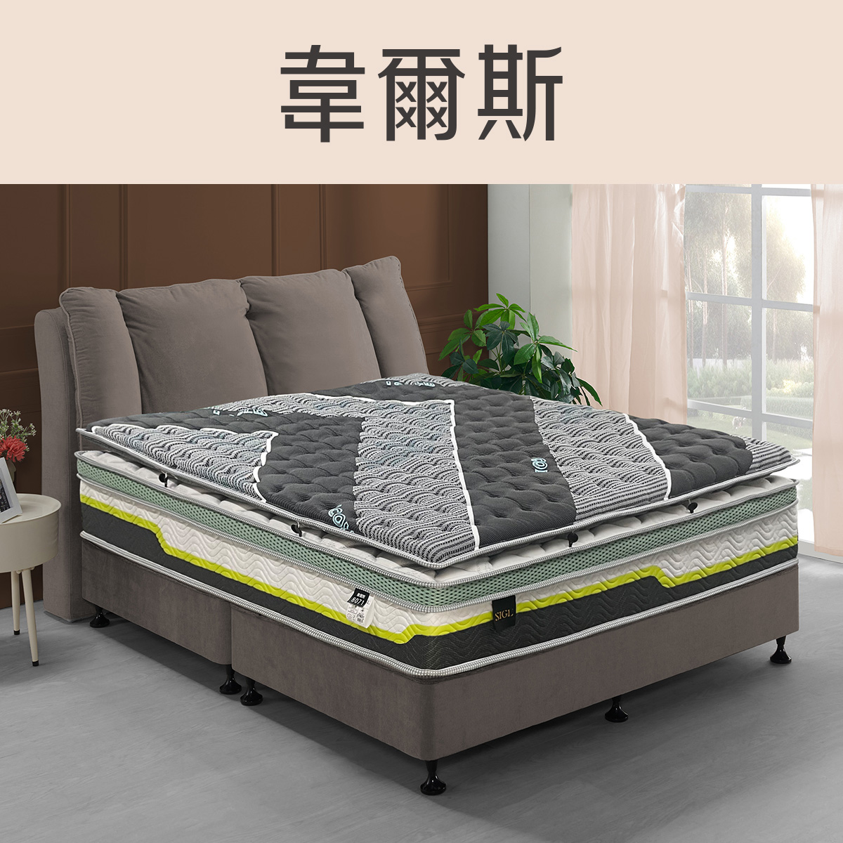 韋爾斯<br>軟○○○○●○○硬