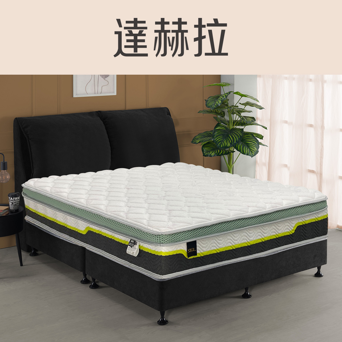 達赫拉<br>軟○○○●○○○硬