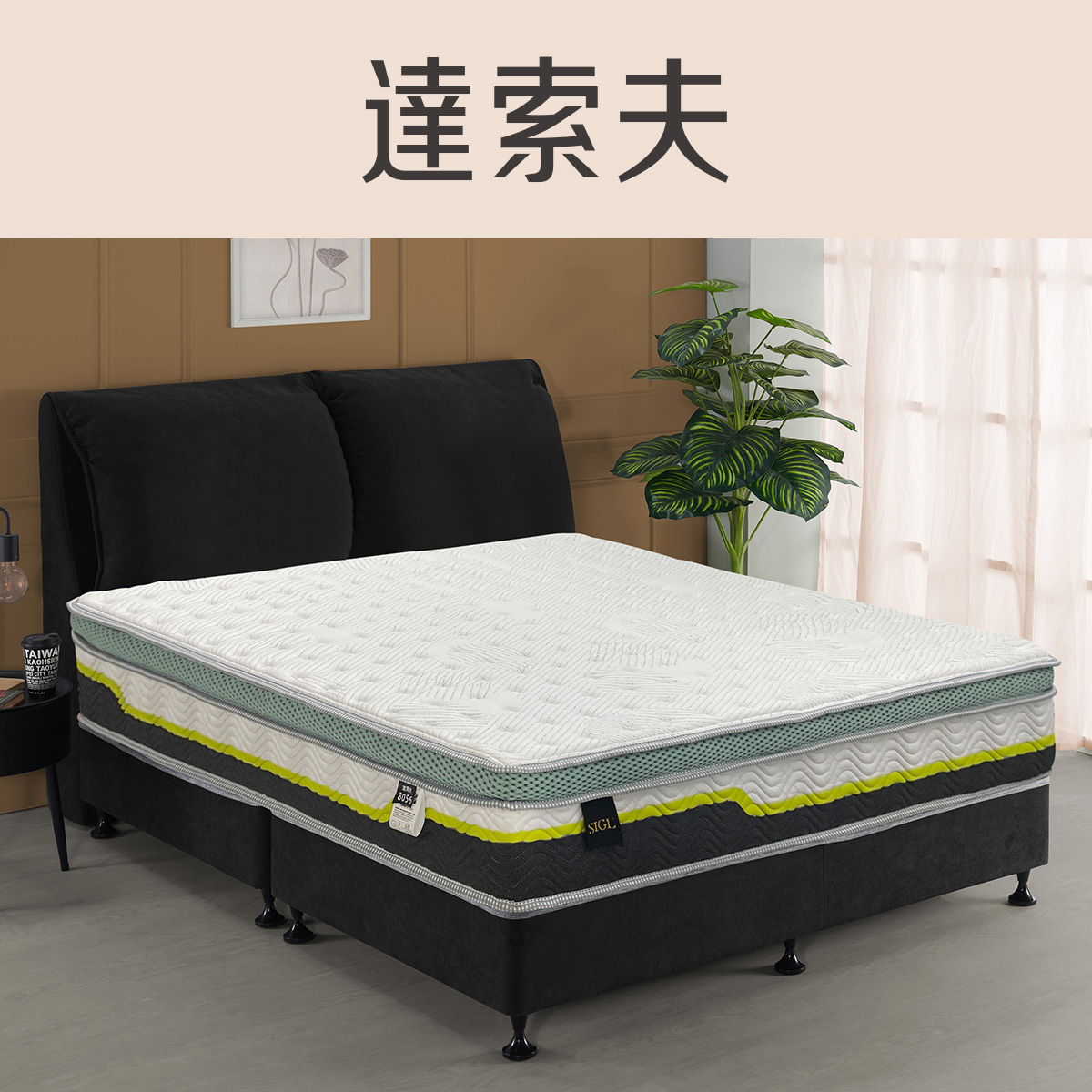 迪爾夫<br>軟○○●○○○○硬