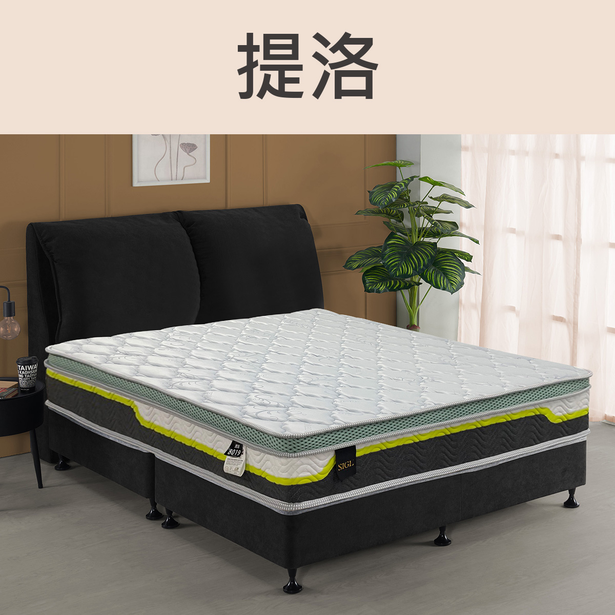 提洛<br>軟○○○○●○○硬